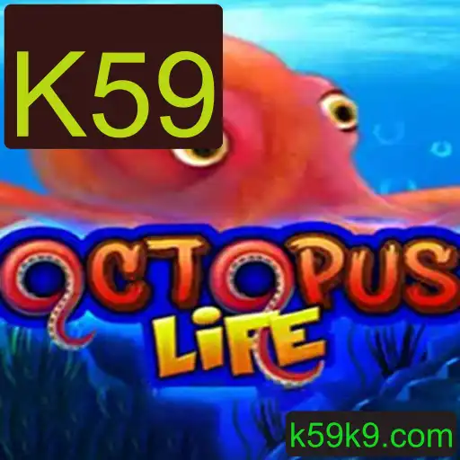 Descubra o Mundo Fascinante de OctopusLife: Uma Aventura Inédita